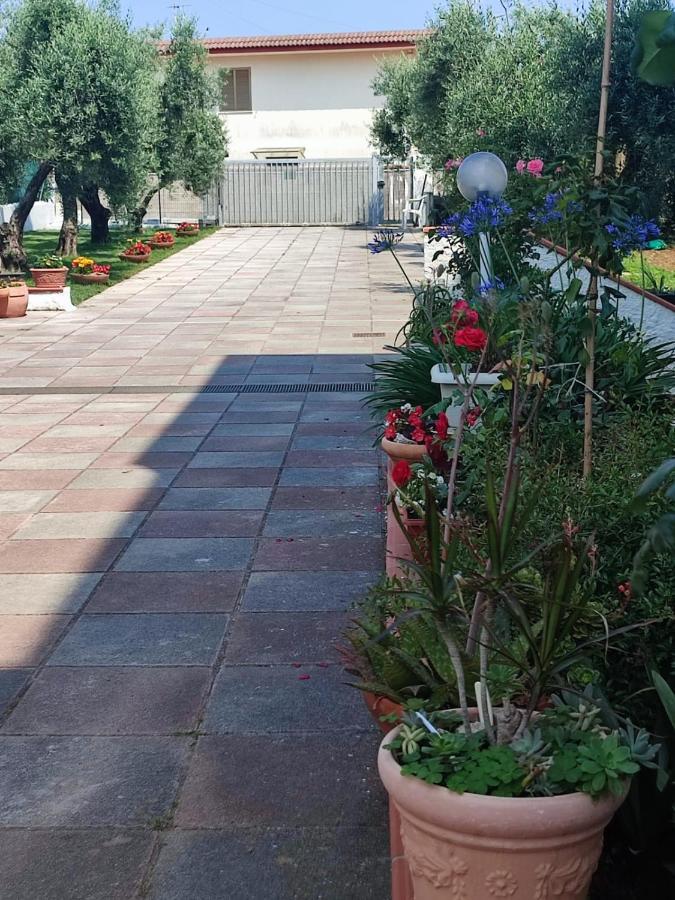 Bordoriva Daire Zinnowitz Dış mekan fotoğraf
